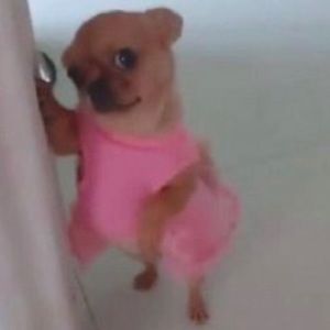 Meet your Posher, Kaleigh